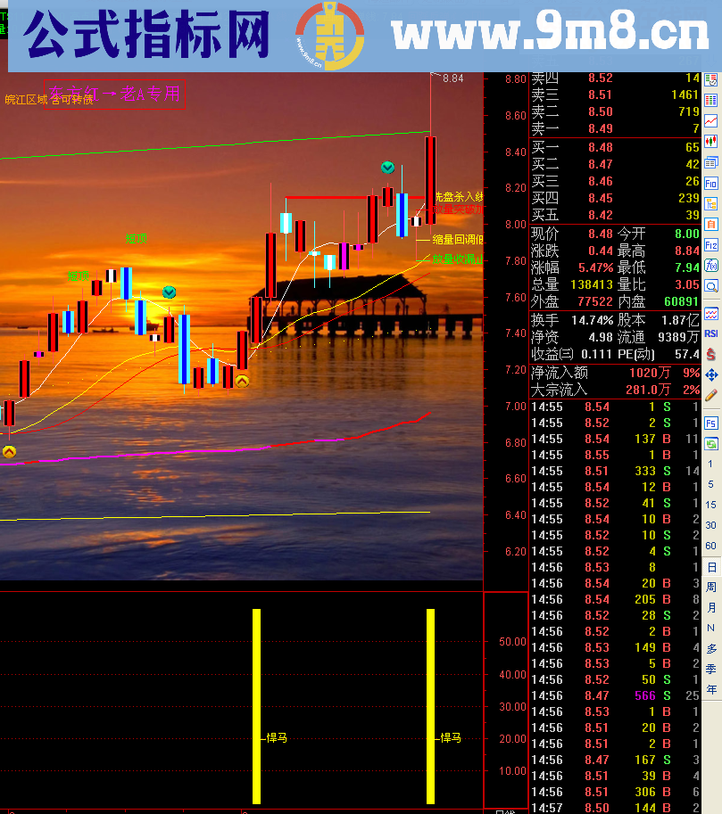 通达信回报理想特发此悍马指标