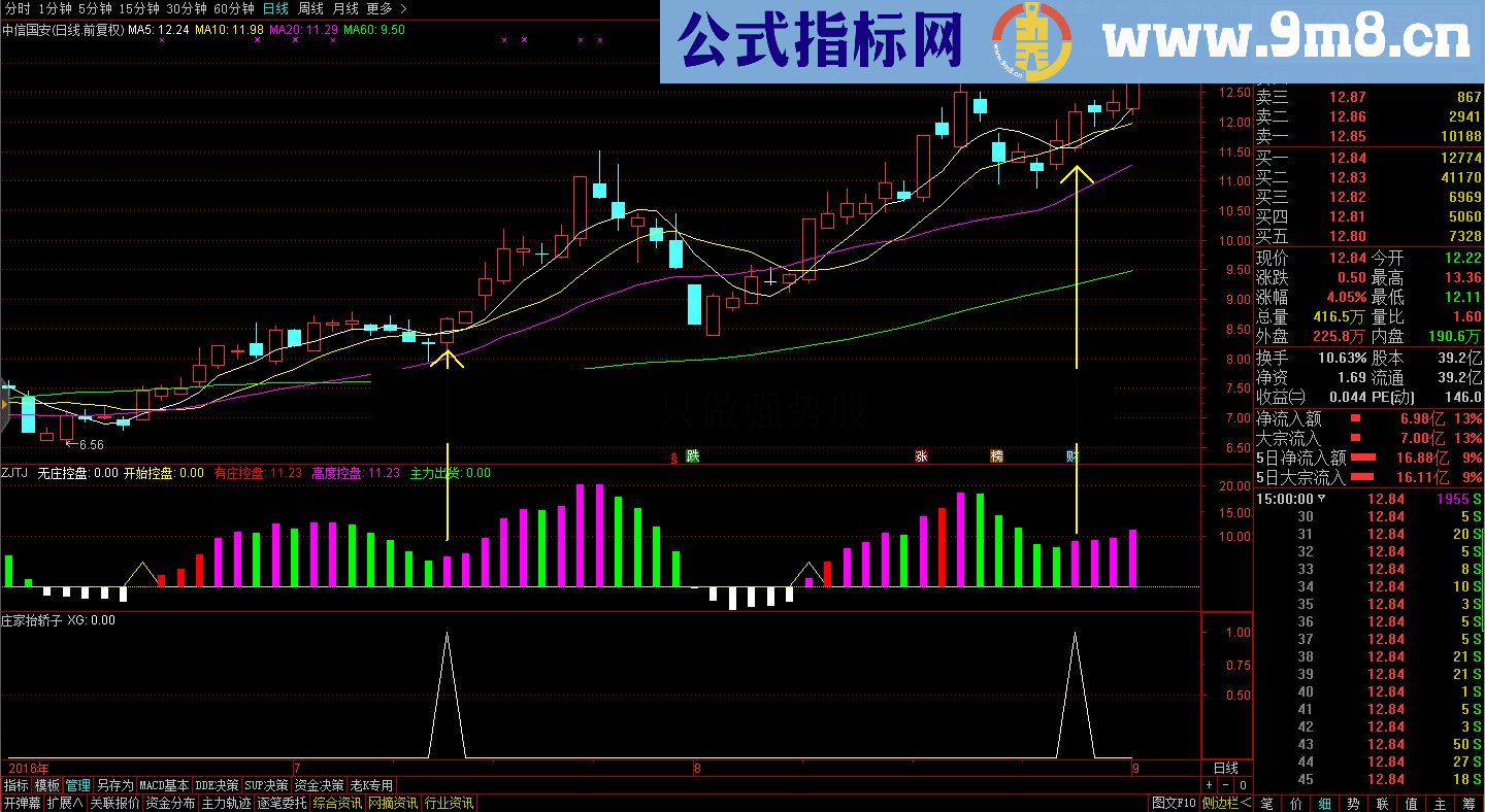 独家原创分顶尖解剖 庄家抬轿 指标核心与高端实战技巧解密策略源码公布