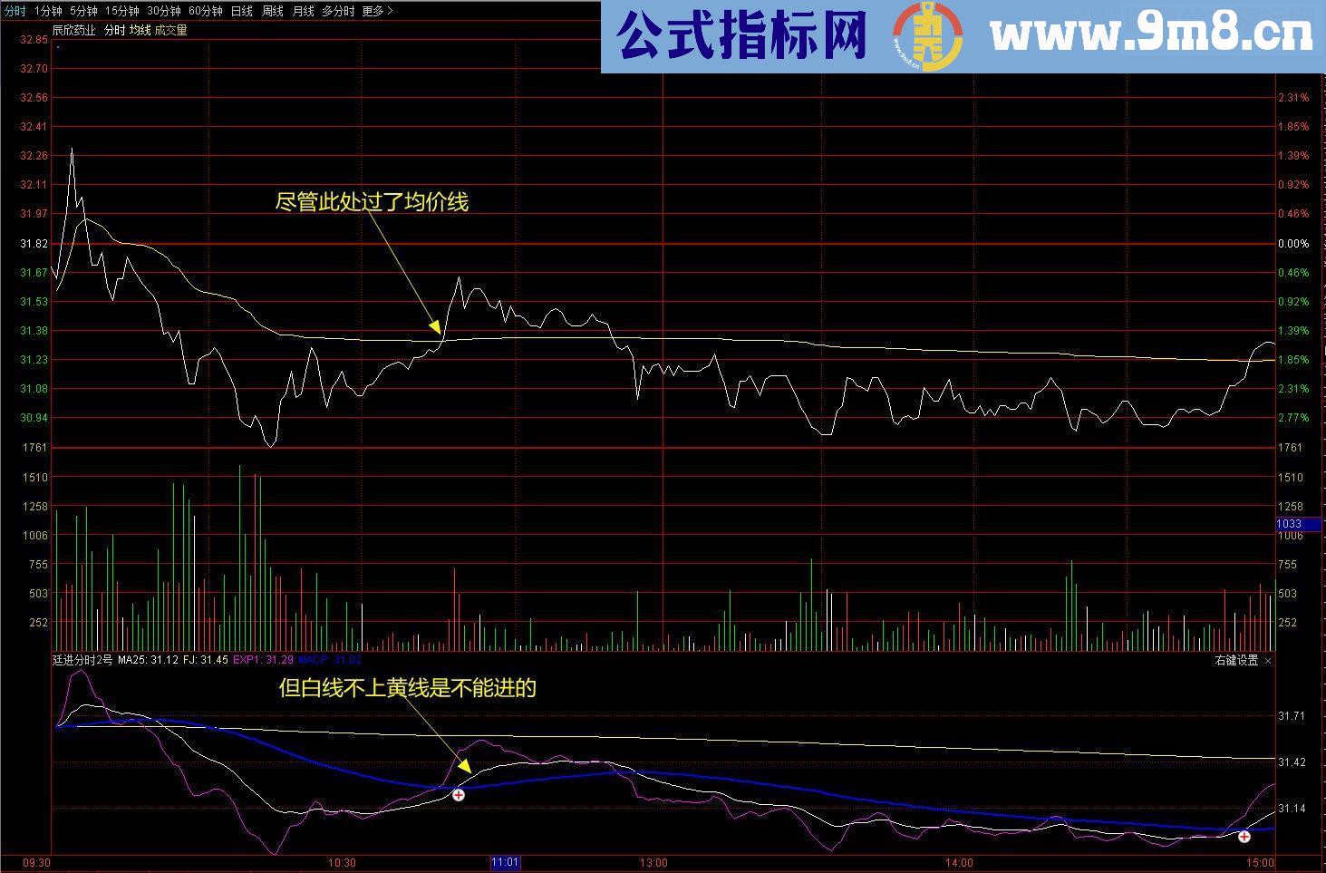 通达信廷进分时2号（源码副图贴图）