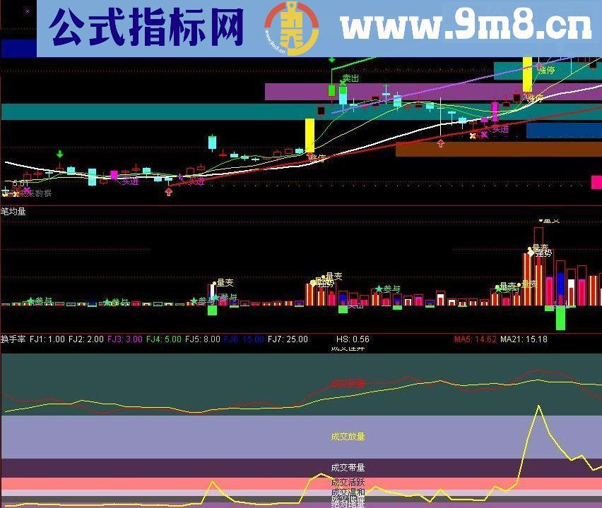 通达信笔均量柱状图源码
