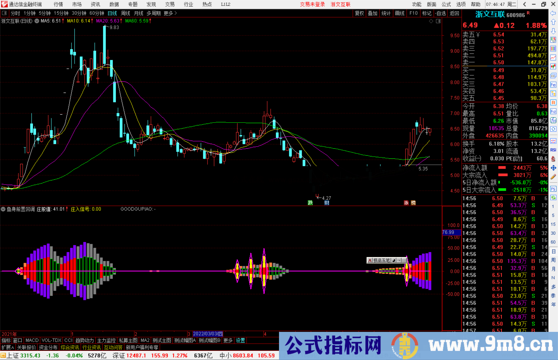 通达信鱼身前置回调副图指标公式副图源码
