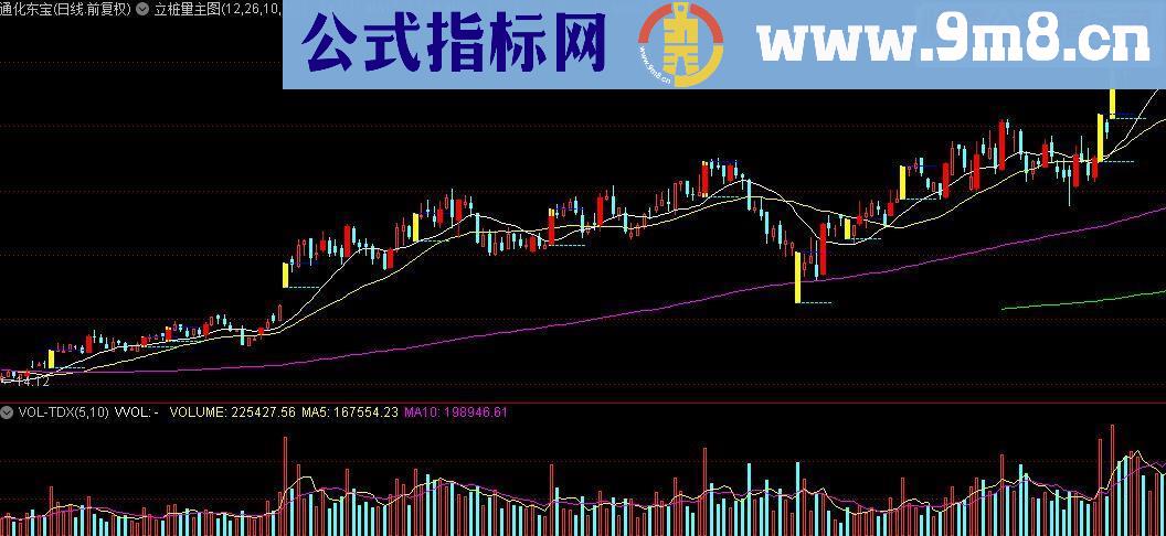 通达信立桩量选股