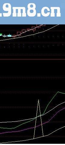 寻找领头羊源码附图