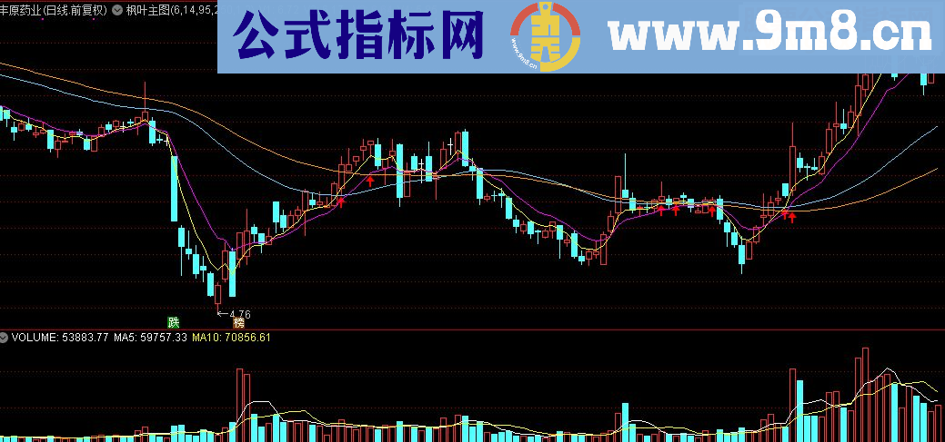 通达信枫叶主图公式源码贴图