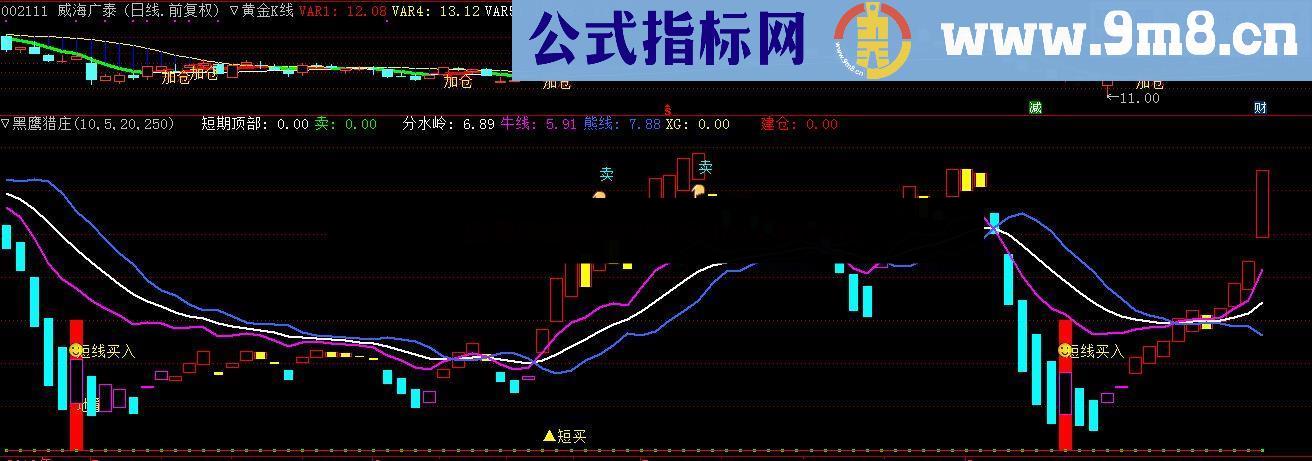 黑鹰猎庄（指标、副图、通达信）