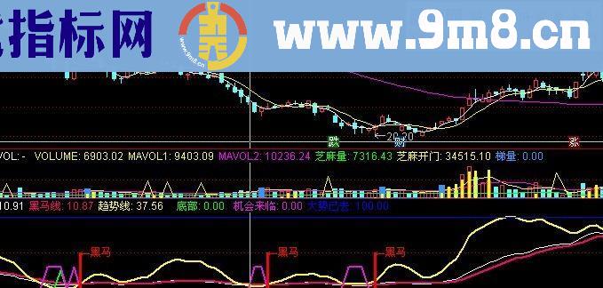 通达信金牌黑马（源码副图贴图）