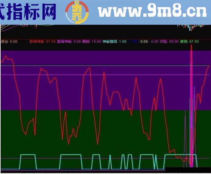 【股海神偷】无未来【副图】