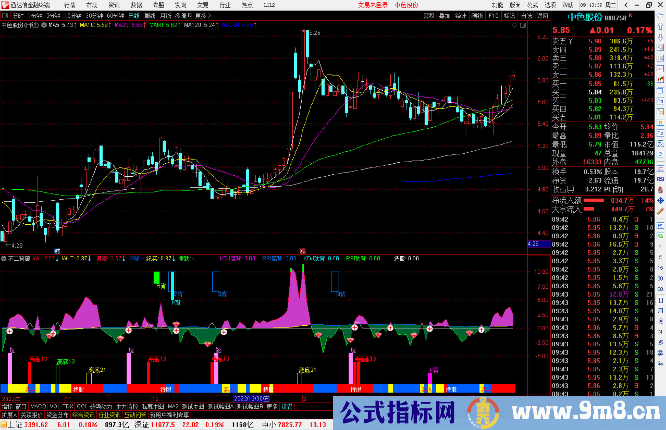 通达信不二背离指标公式源码副图