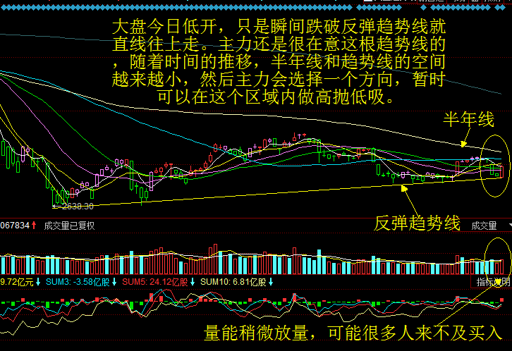 盘口语言——庄股分析
