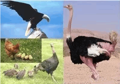 没有交易的积累和准备，你凭什么说你的交易能赚钱？