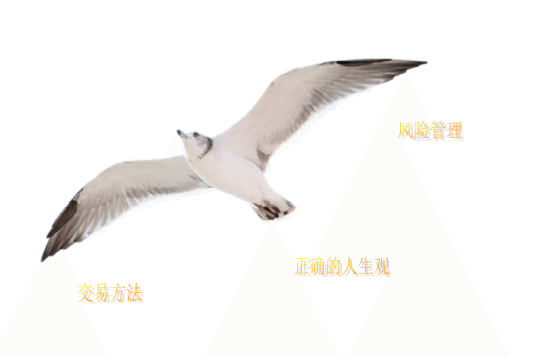 交易中稳定盈利的关键：资金管理和风险管理！