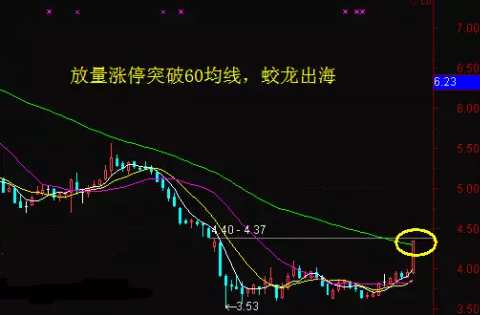 涨停板培训：蛟龙出海买入法