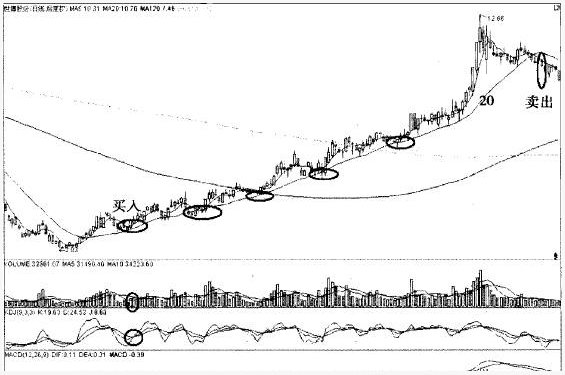翻倍黑马20日均线战法 20日线猎杀翻倍黑马的经典战例