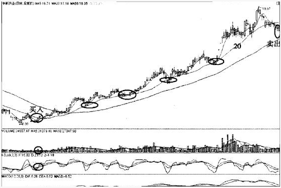 翻倍黑马20日均线战法 20日线猎杀翻倍黑马的经典战例